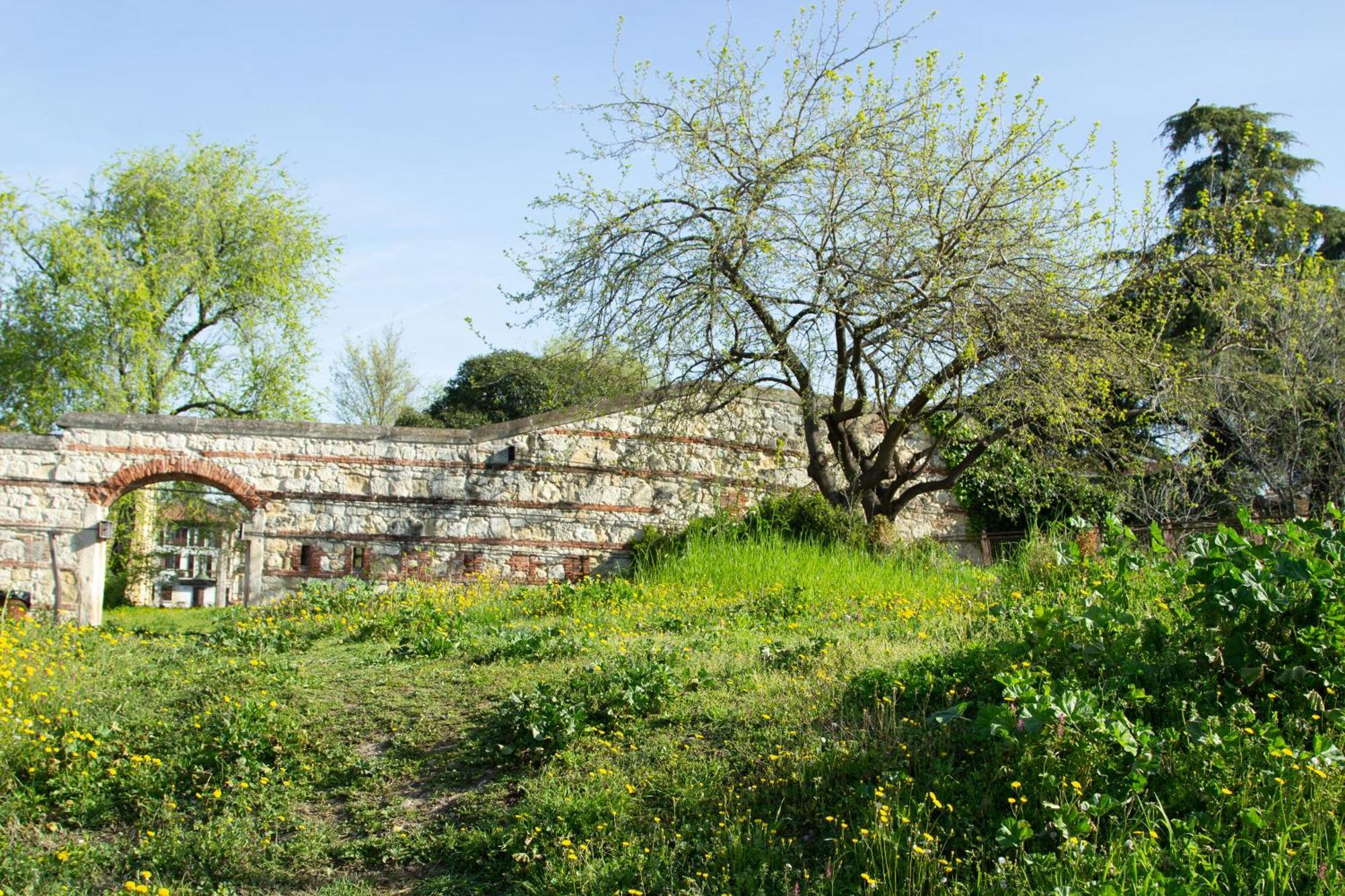 Verona Nest Exterior foto